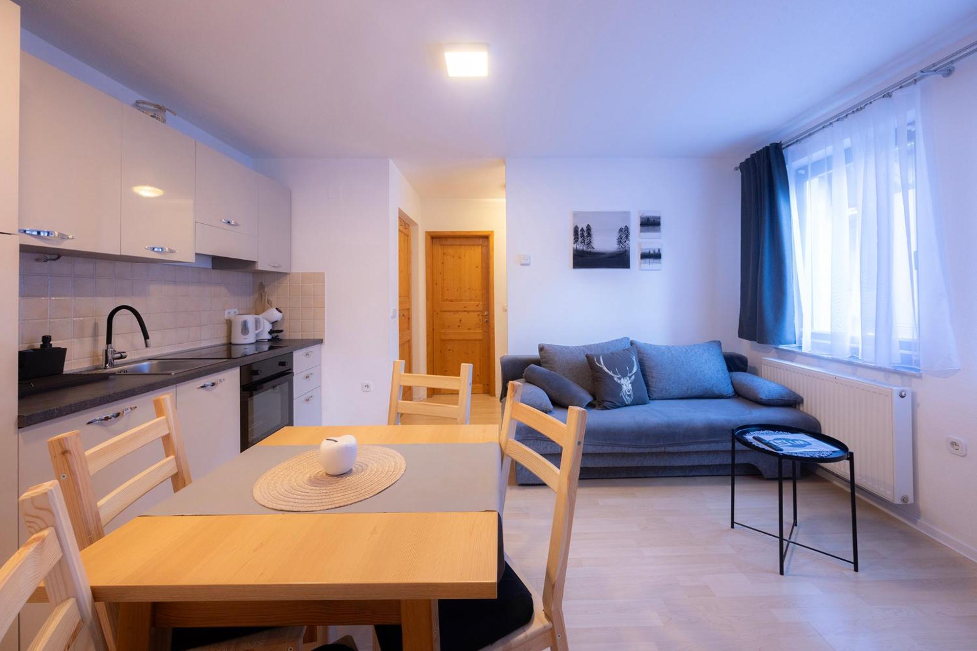 Apartmaji Anze クランスカゴーラ 部屋 写真