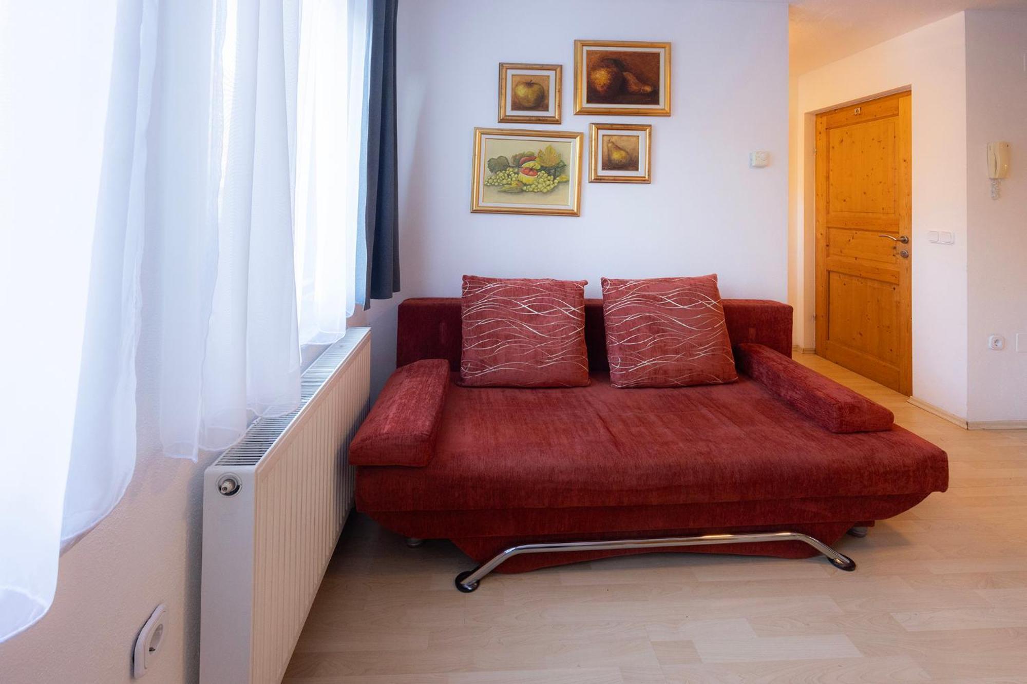 Apartmaji Anze クランスカゴーラ 部屋 写真